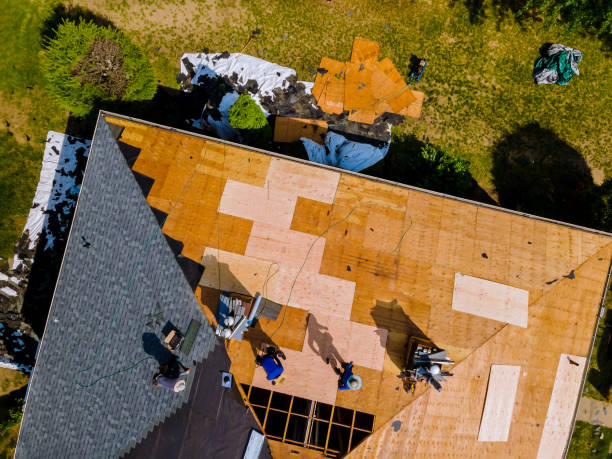 Best Flat Roof Repair Services  in Ida Grove, IA